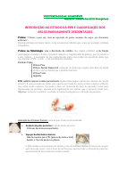 Resumo PPR I (1)(1).pdf